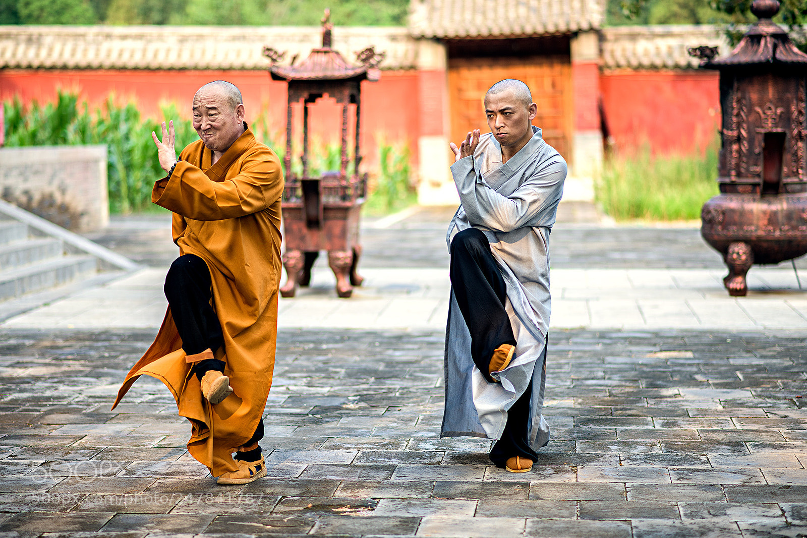 Nikon D810 sample photo. Shaolin monks in training photography