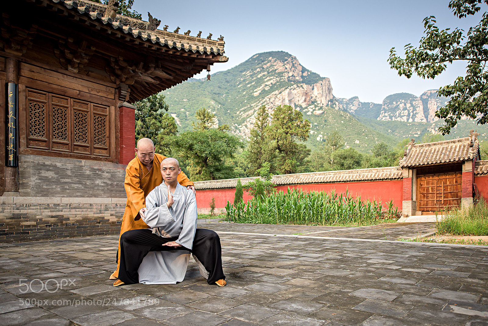 Nikon D810 sample photo. Shaolin monks in training photography