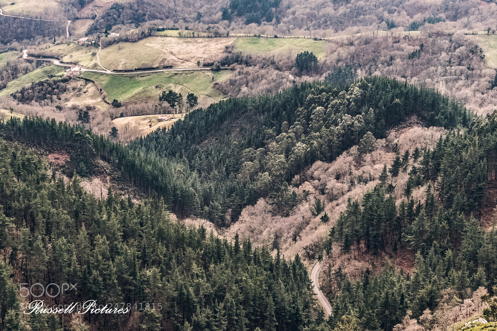 Nikon D3400 sample photo. Forest from the top. photography