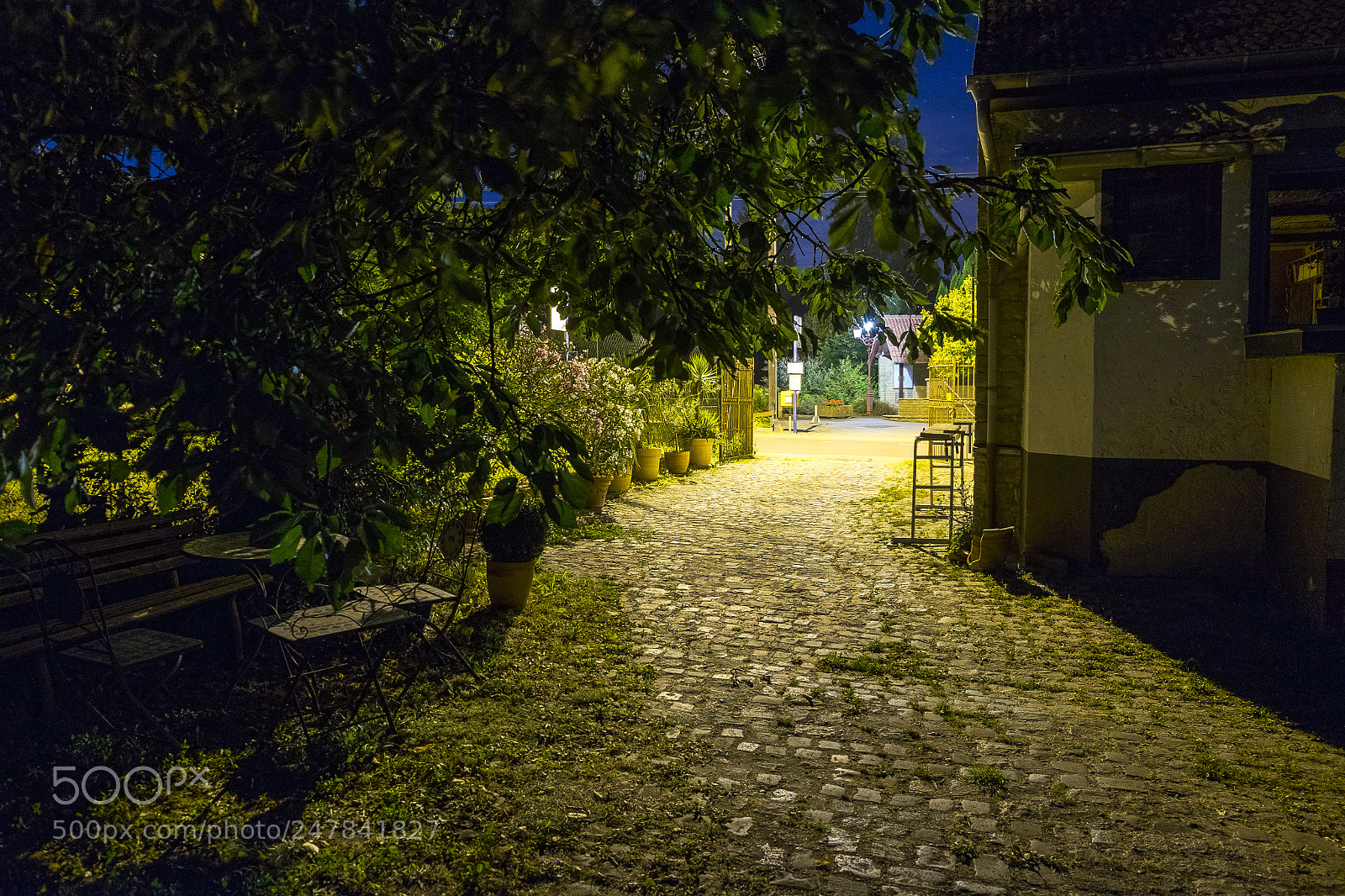 Fujifilm X-T1 sample photo. Our courtyard photography