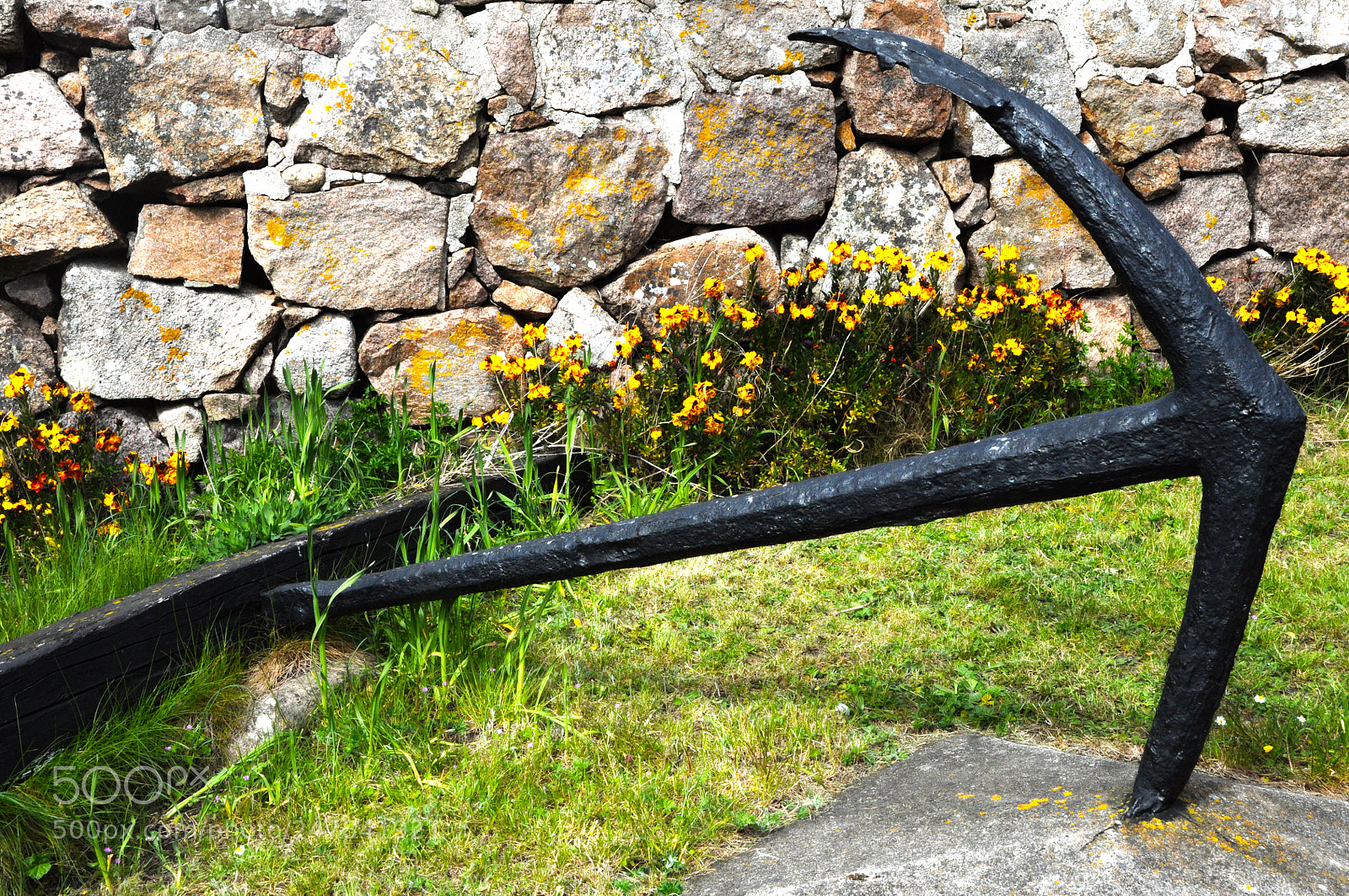 Nikon D90 sample photo. Anker photography