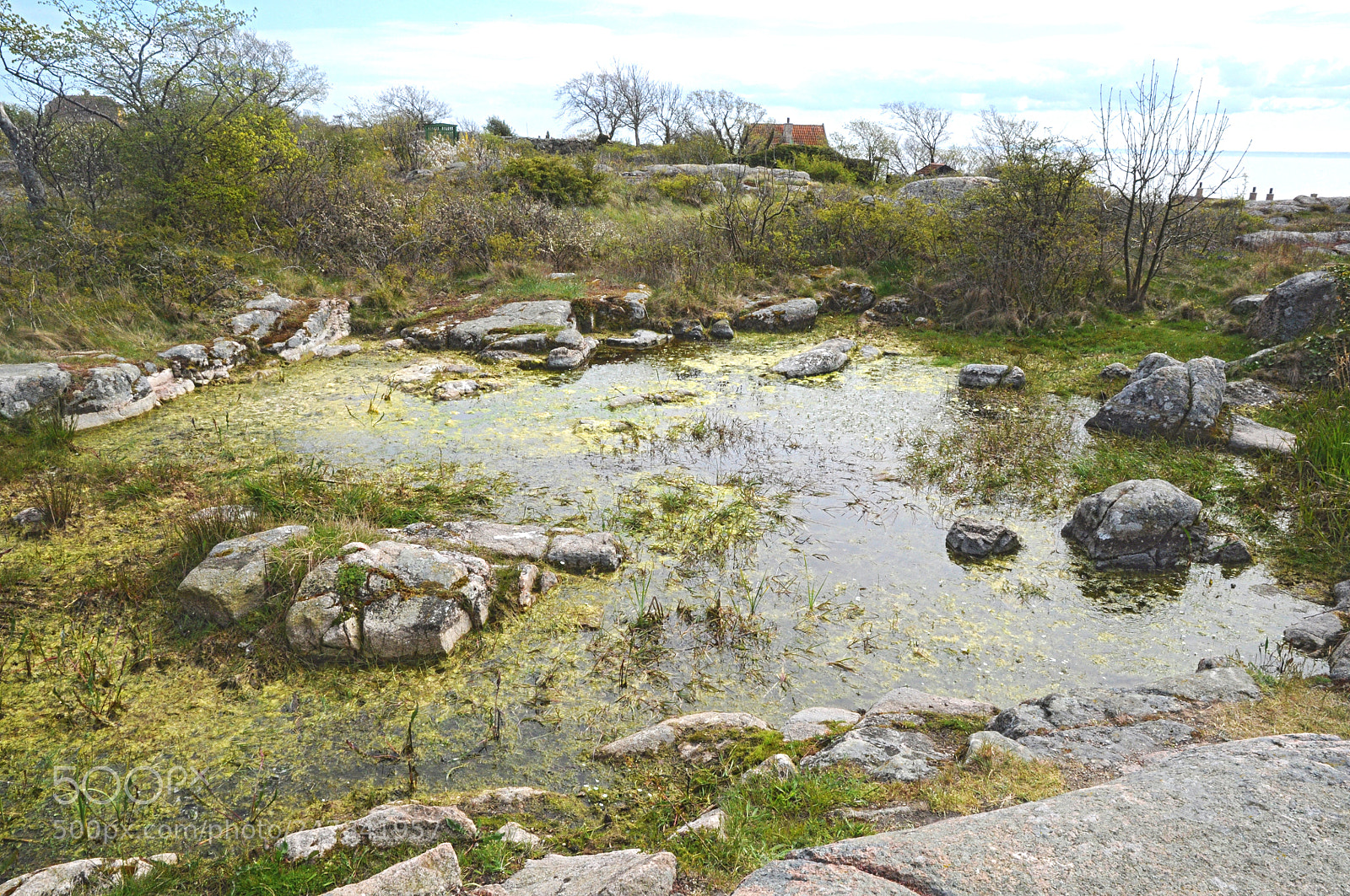 Nikon D90 sample photo. Rockpool photography