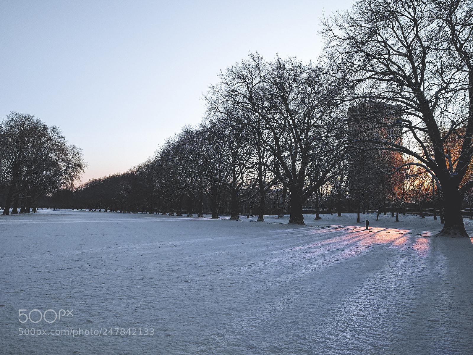 LG Nexus 5X sample photo. Snowy dawn in victoria photography