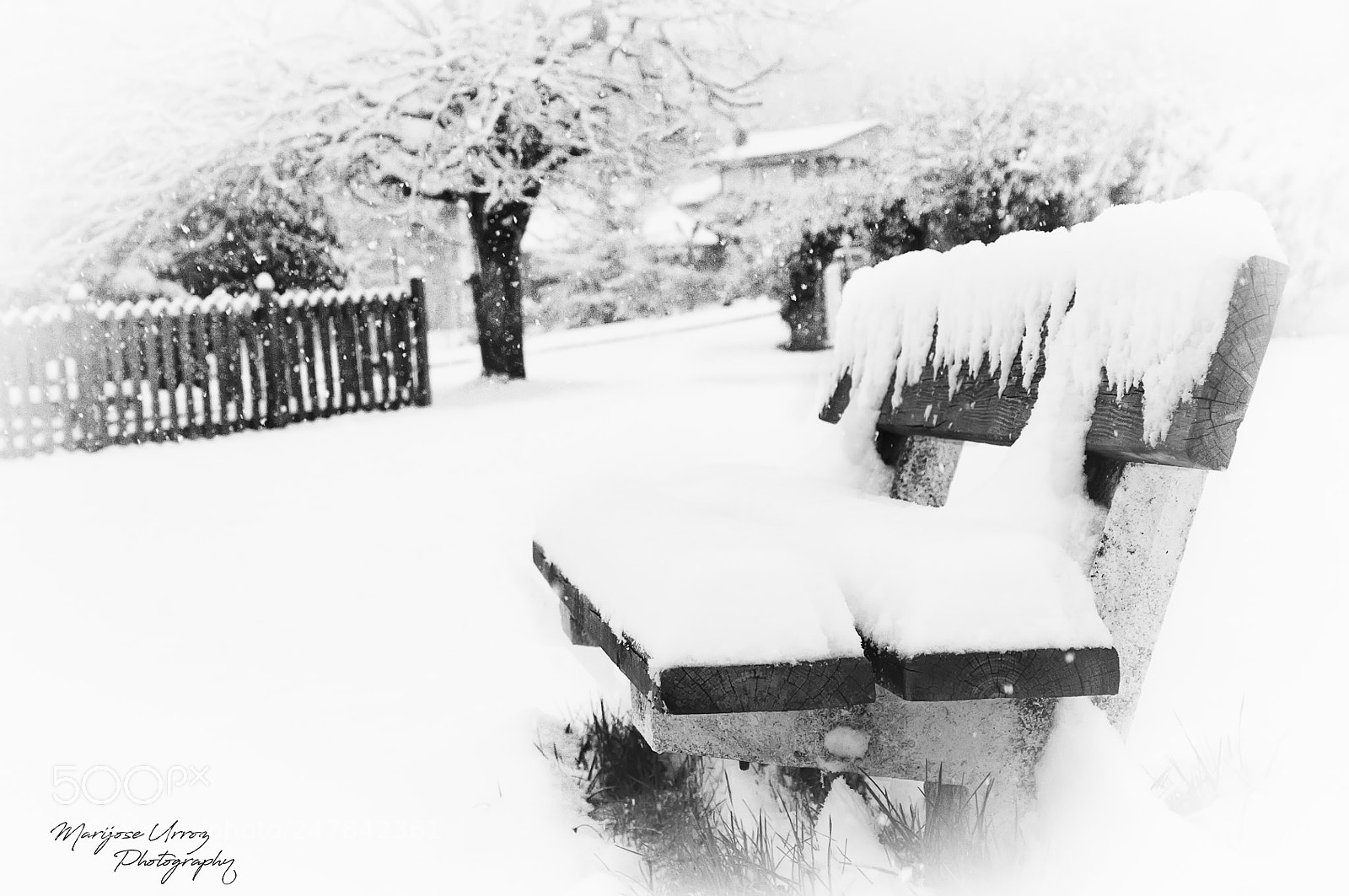 Nikon D300 sample photo. Winter photography