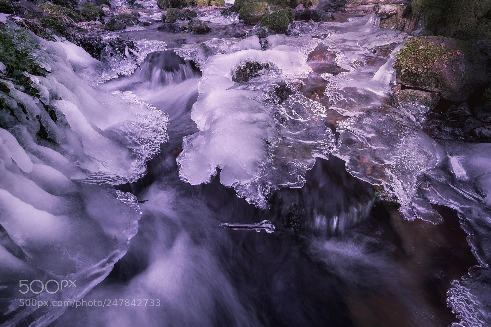 Nikon D5 sample photo. Frozen stream photography