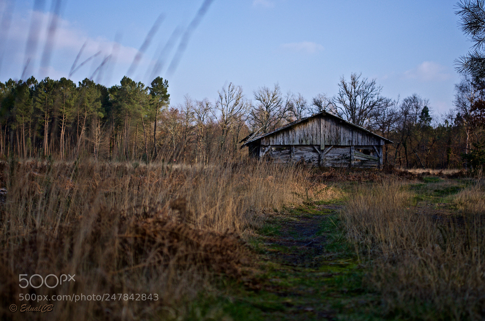 Pentax K-5 sample photo. La grange au bout photography