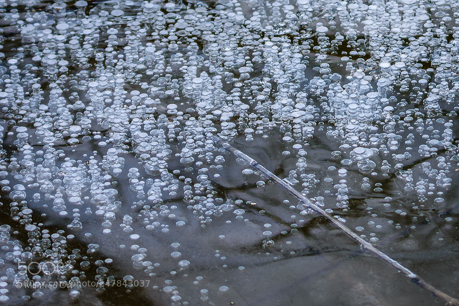 Nikon D7200 sample photo. Bubbles in the ice photography