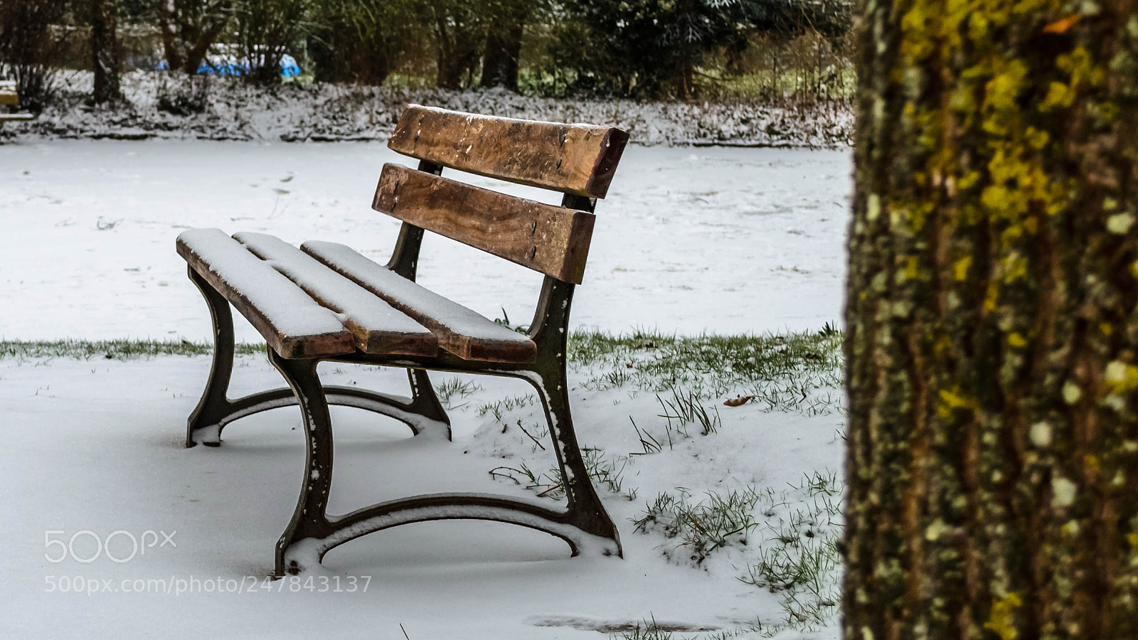 Nikon D5100 sample photo. Spy a bench photography