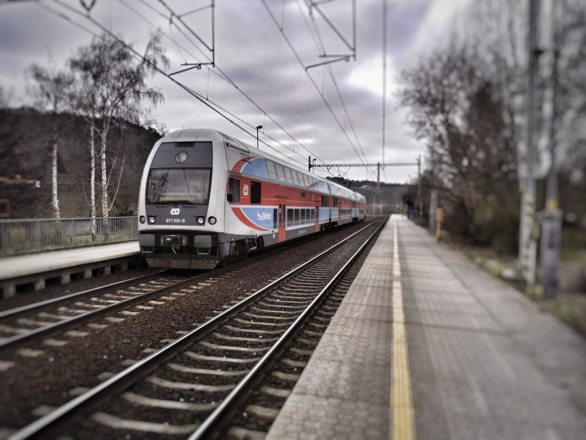 Benq G1 sample photo. Elefant photography