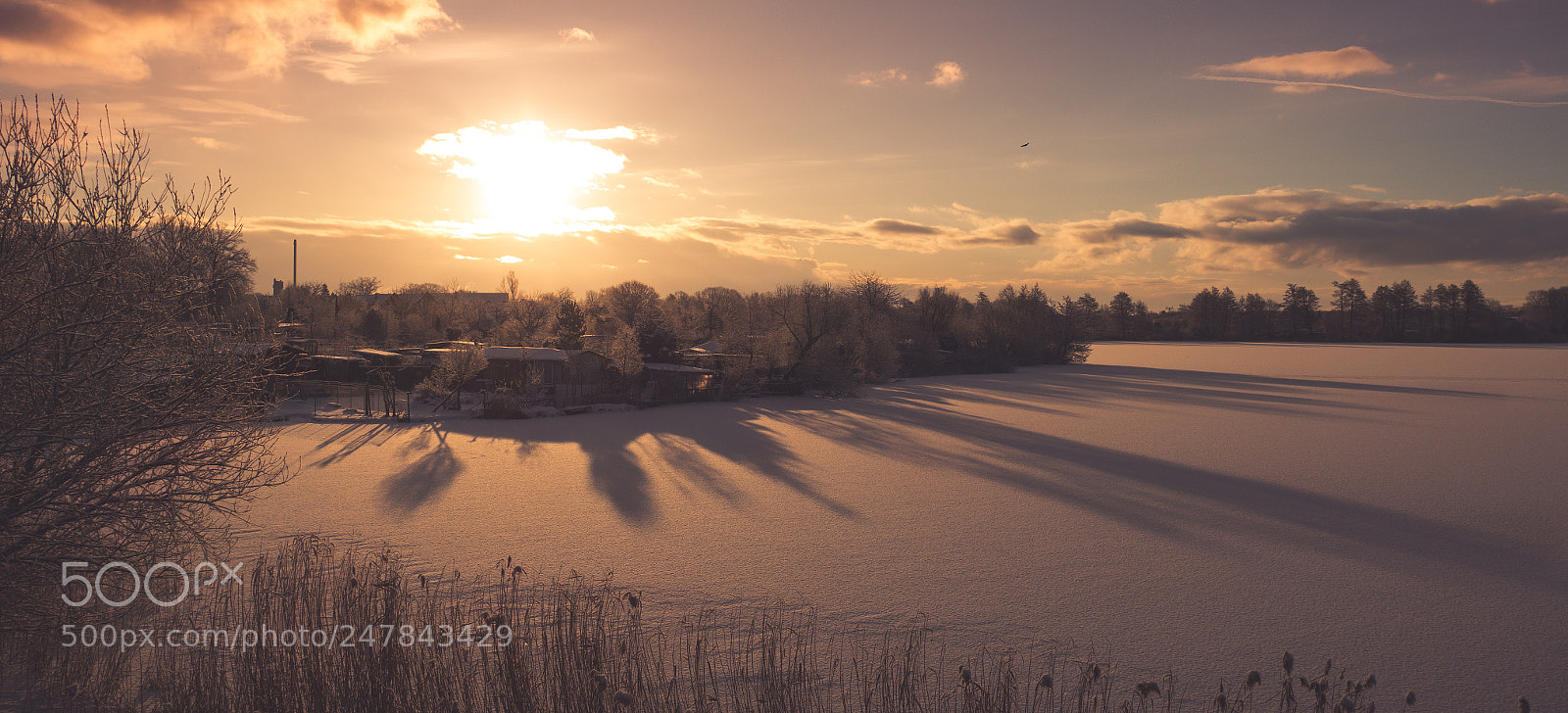 Sony Cyber-shot DSC-RX100 III sample photo. Winter shadows photography