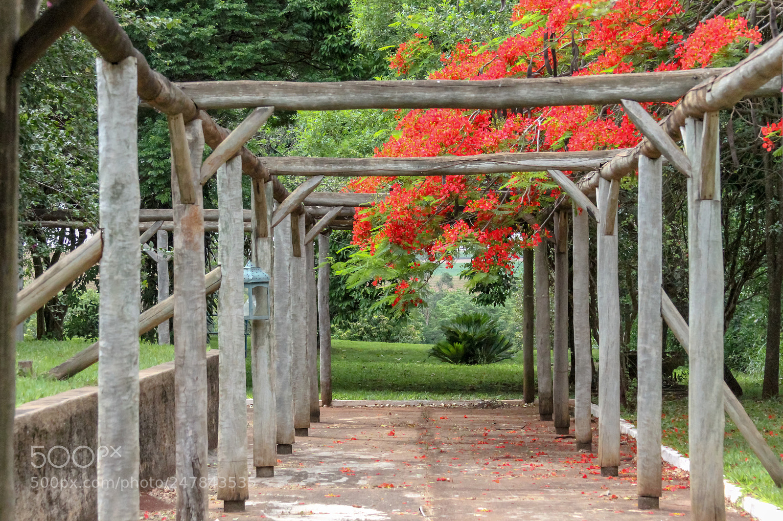 Canon EOS 7D sample photo. Beautiful perspective of a photography