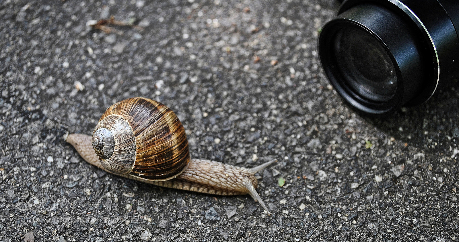 Nikon D3000 sample photo. Take a shot photography