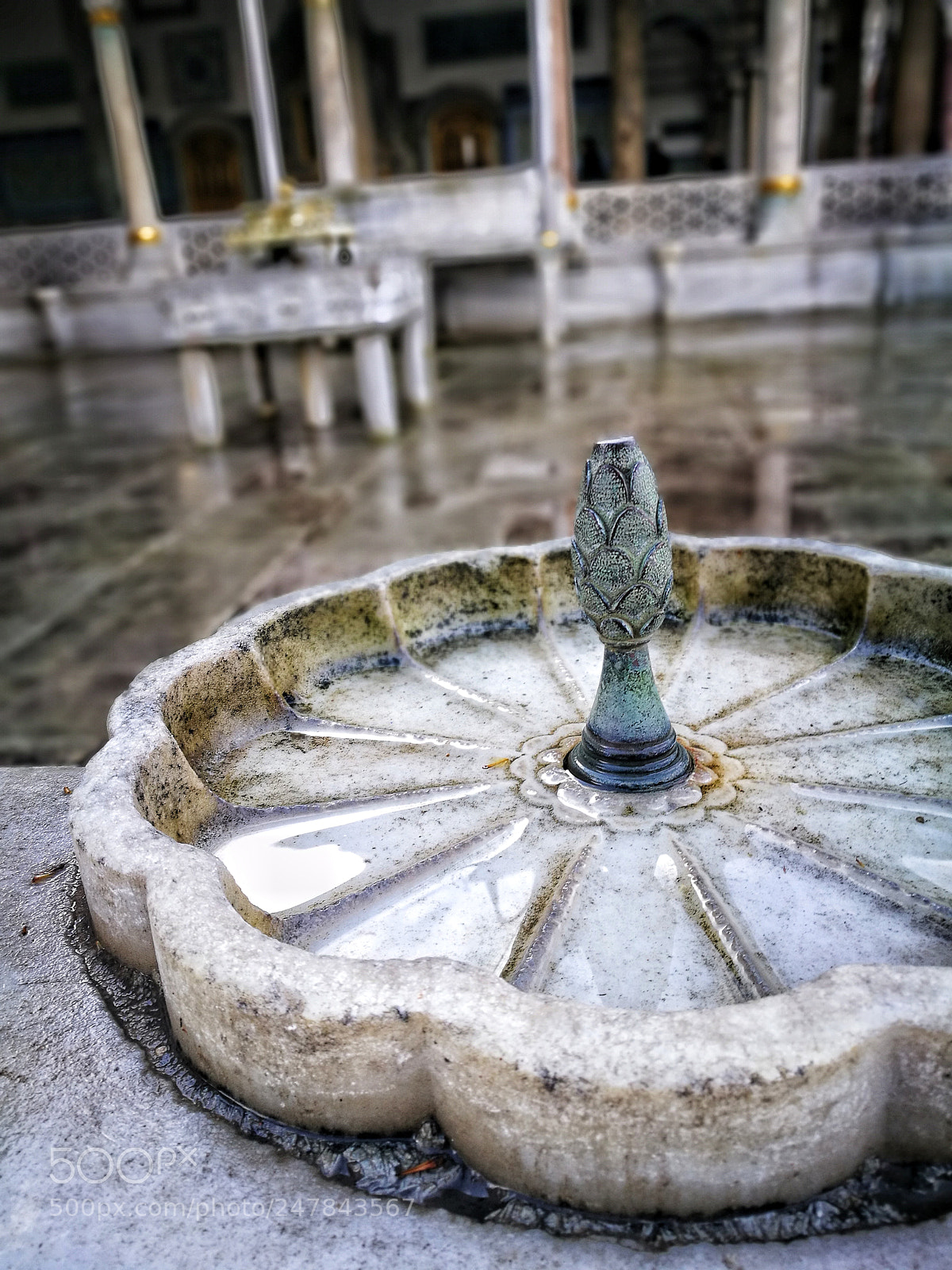HUAWEI P9 Plus sample photo. Edf photography