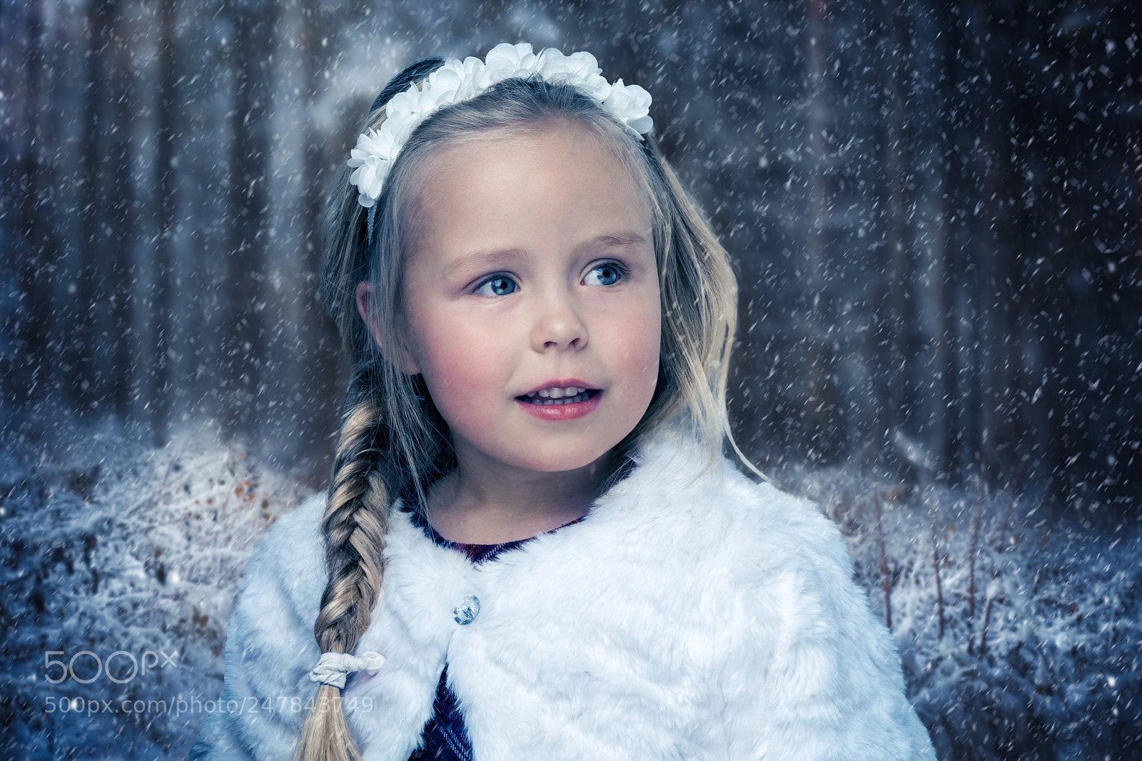 Sony a7R II sample photo. Evina christmas card photography