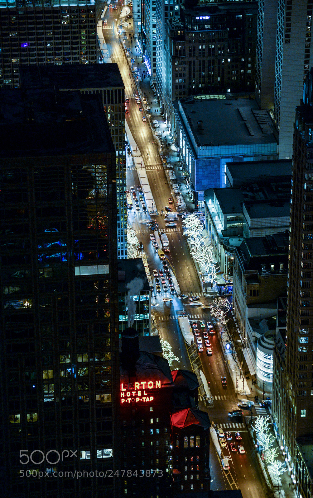 Nikon D610 sample photo. Chicago from 1000 feet (xviii) photography