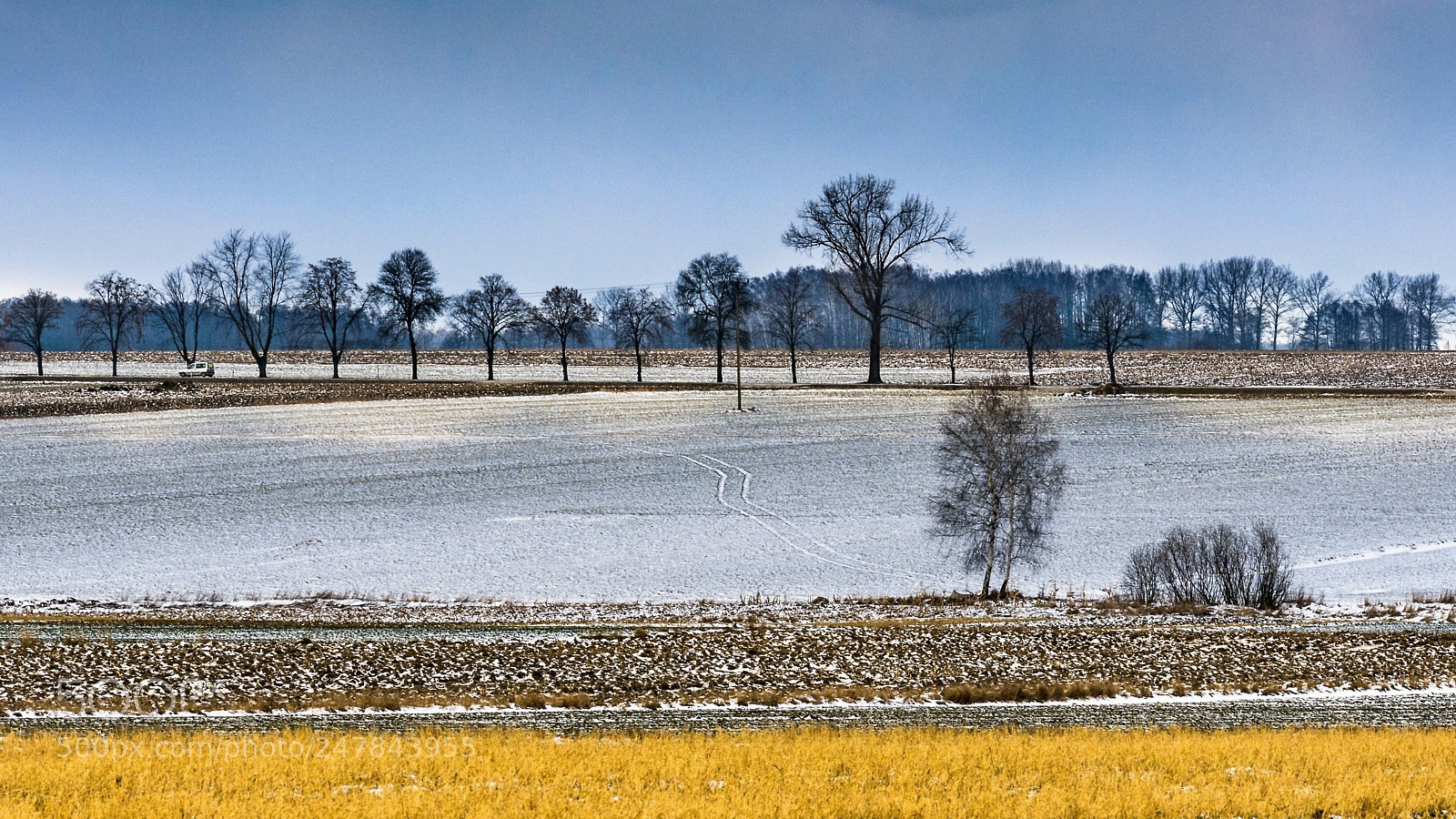 Nikon D7200 sample photo. Colours of winter ii photography