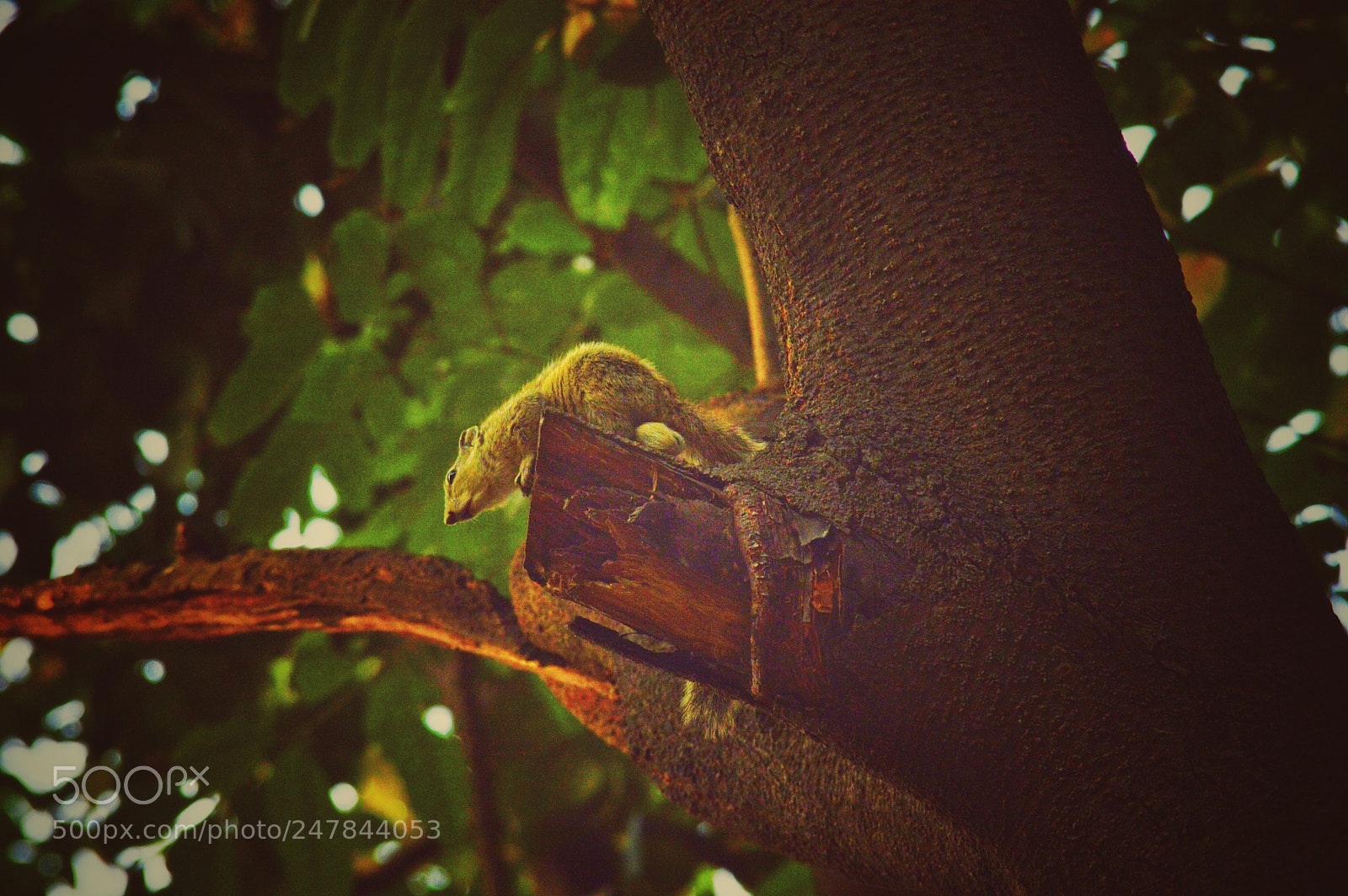 Nikon D3200 sample photo. Untitled photography