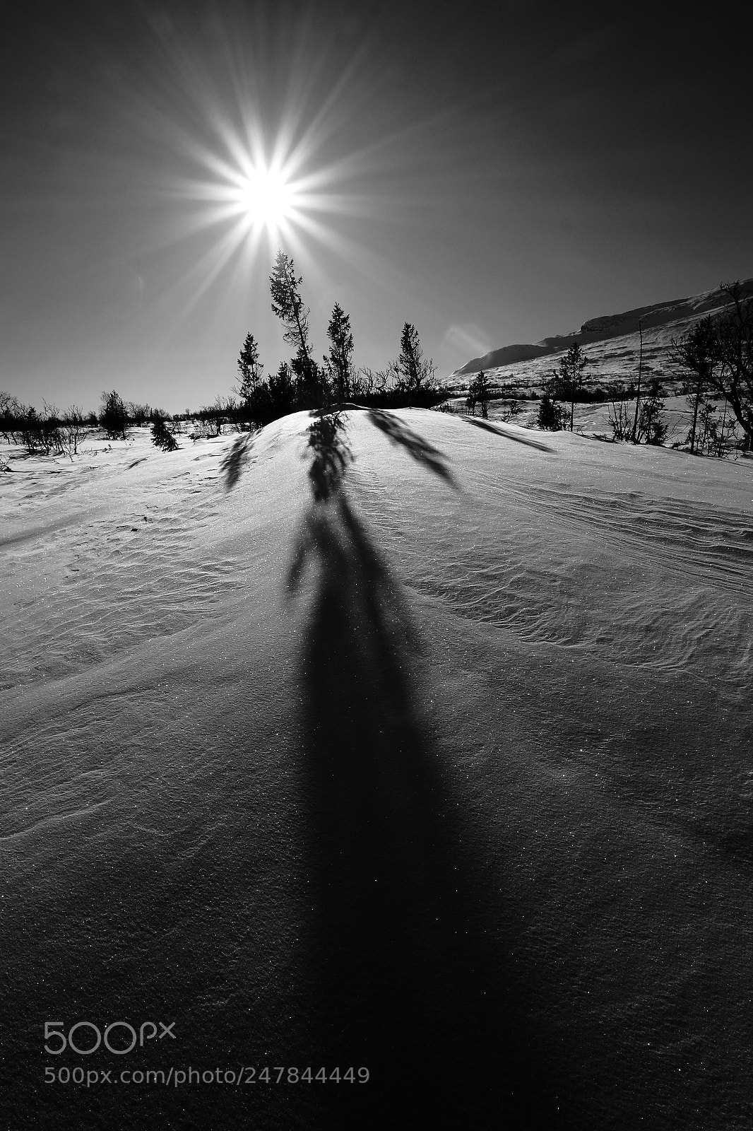 Fujifilm X-T1 sample photo. - 20 degrees c photography
