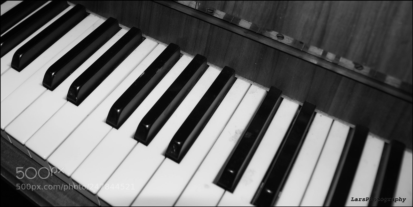 Sony SLT-A77 sample photo. Photo photography