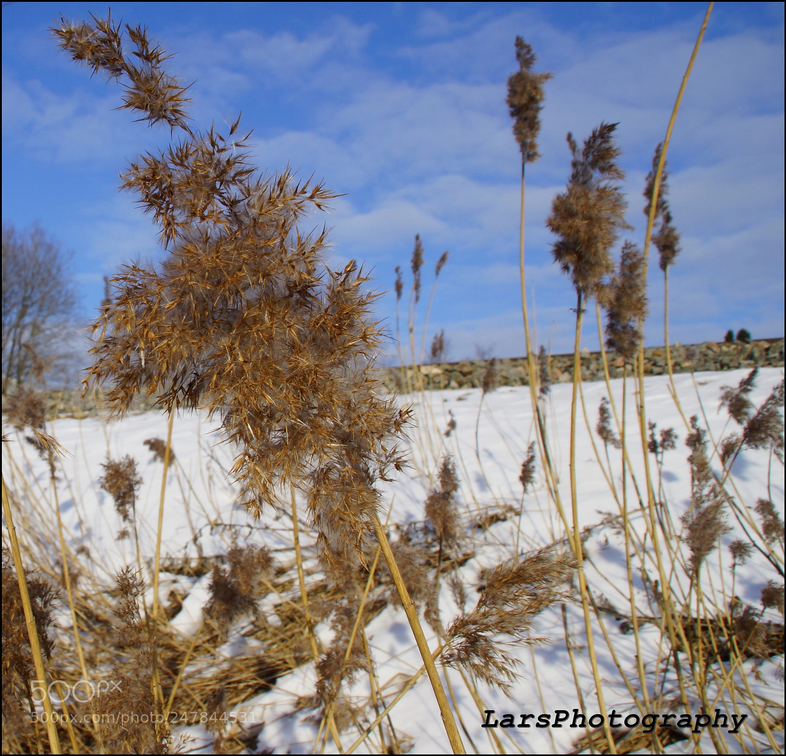 Sony SLT-A77 sample photo. Photo photography
