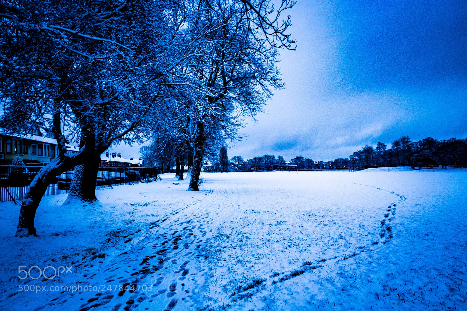 Canon EOS 700D (EOS Rebel T5i / EOS Kiss X7i) sample photo. A winter morning at photography