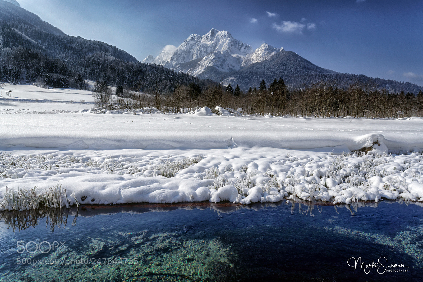 Sony a7R II sample photo. Zelenci natural reserve photography