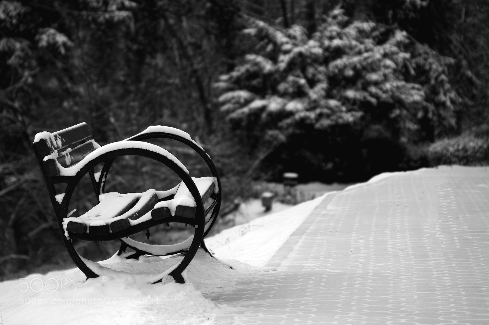 Fujifilm X-Pro1 sample photo. Park bench photography