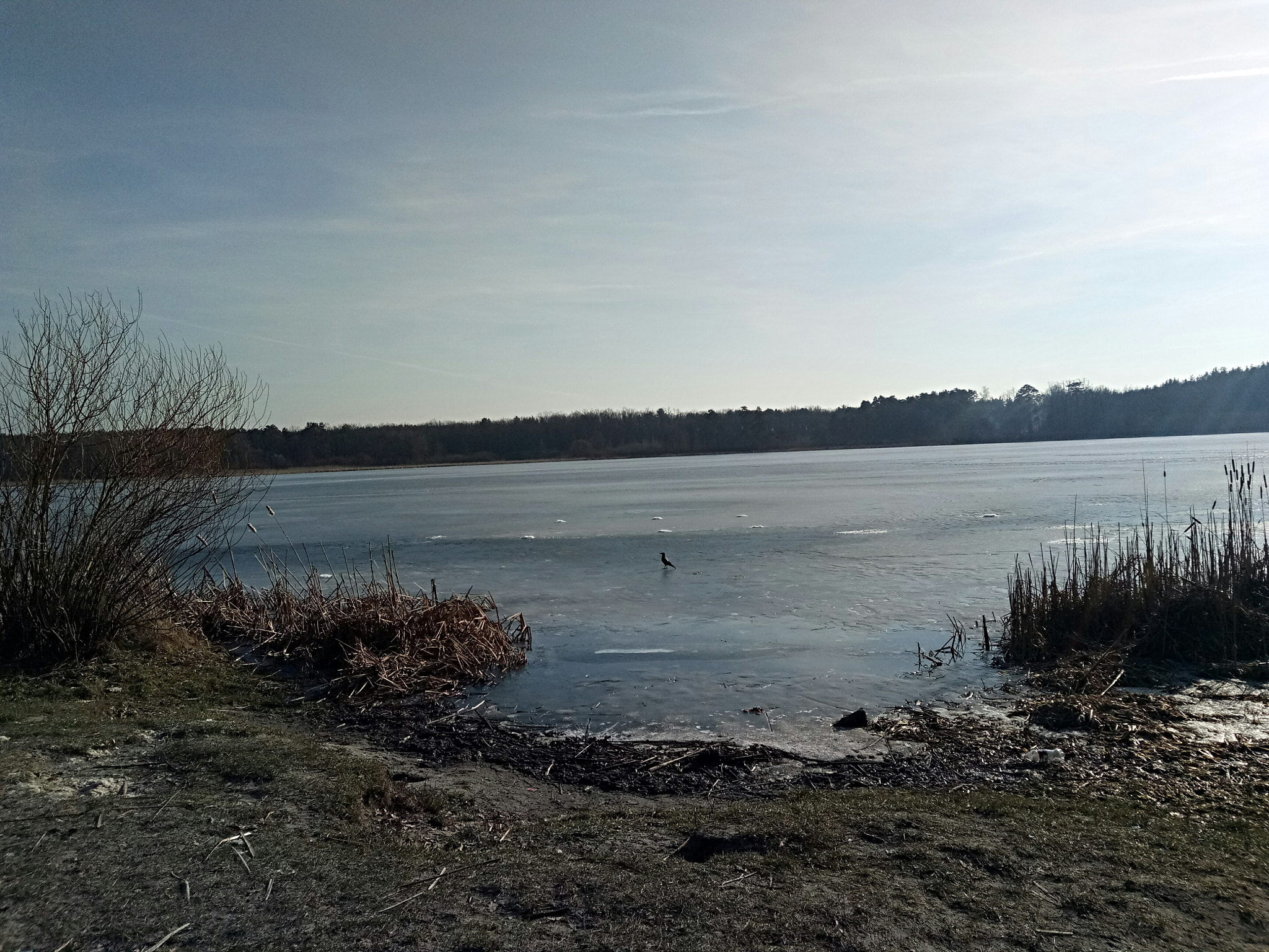 Meizu U20 sample photo