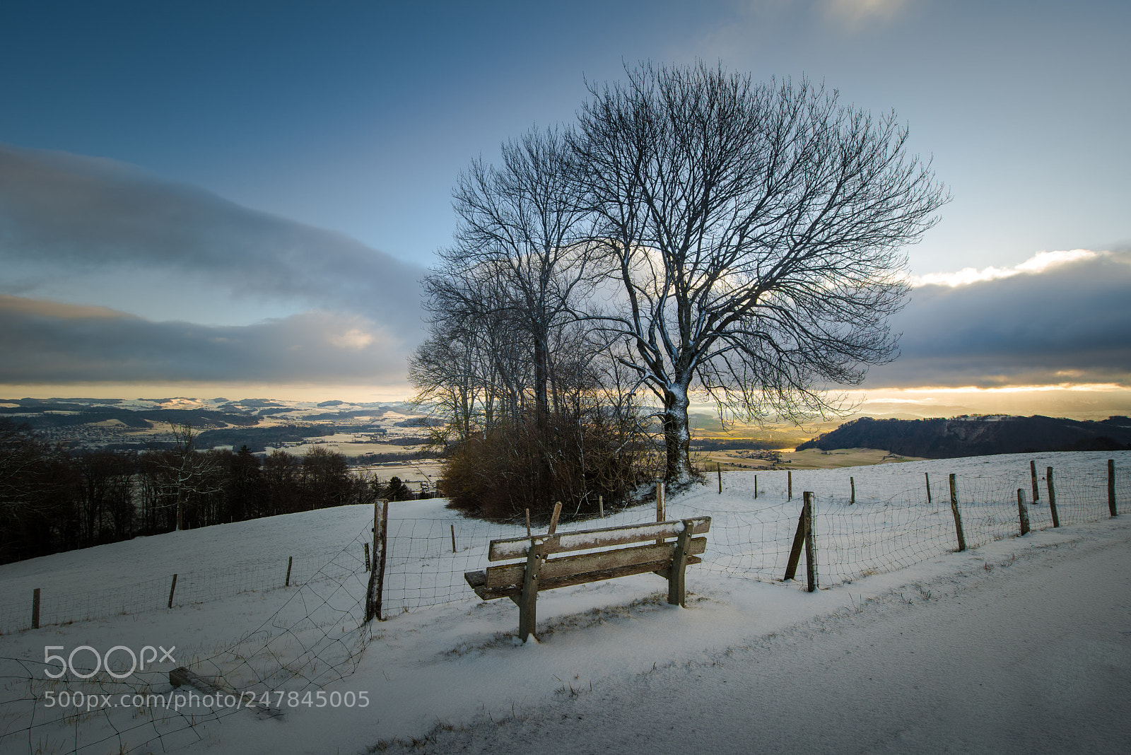Nikon D810 sample photo. Silent morning photography