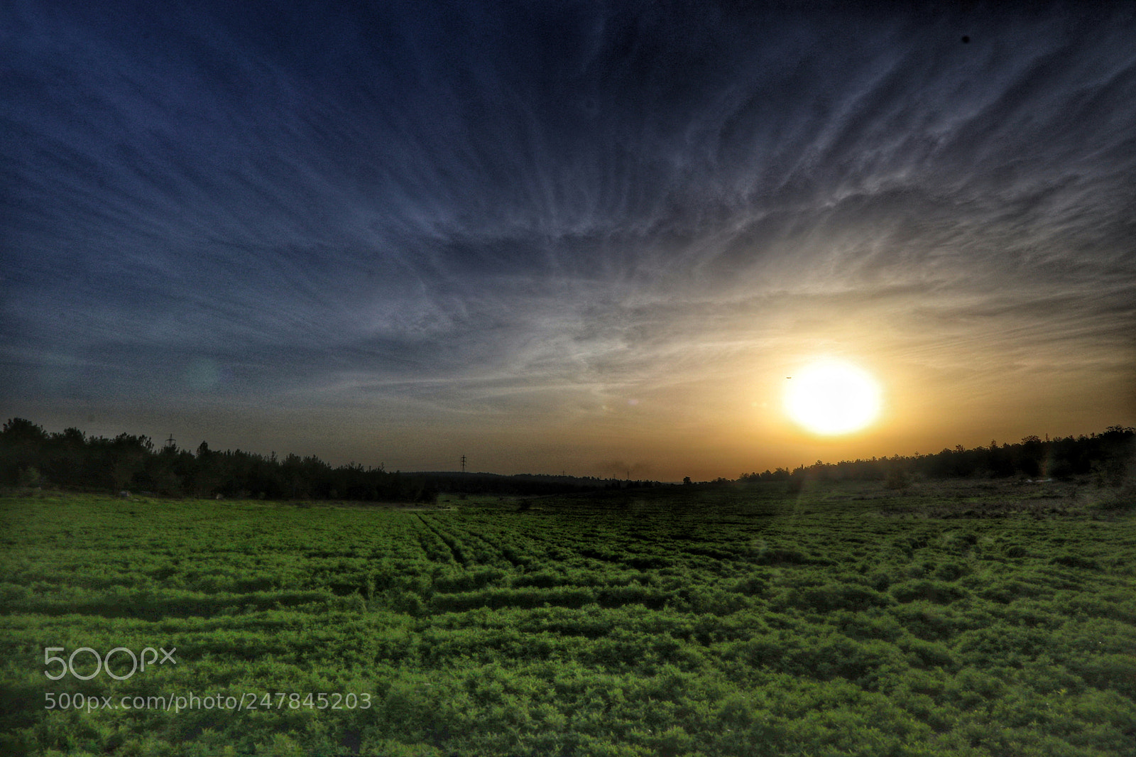 Canon EOS 80D sample photo. Sunset photography