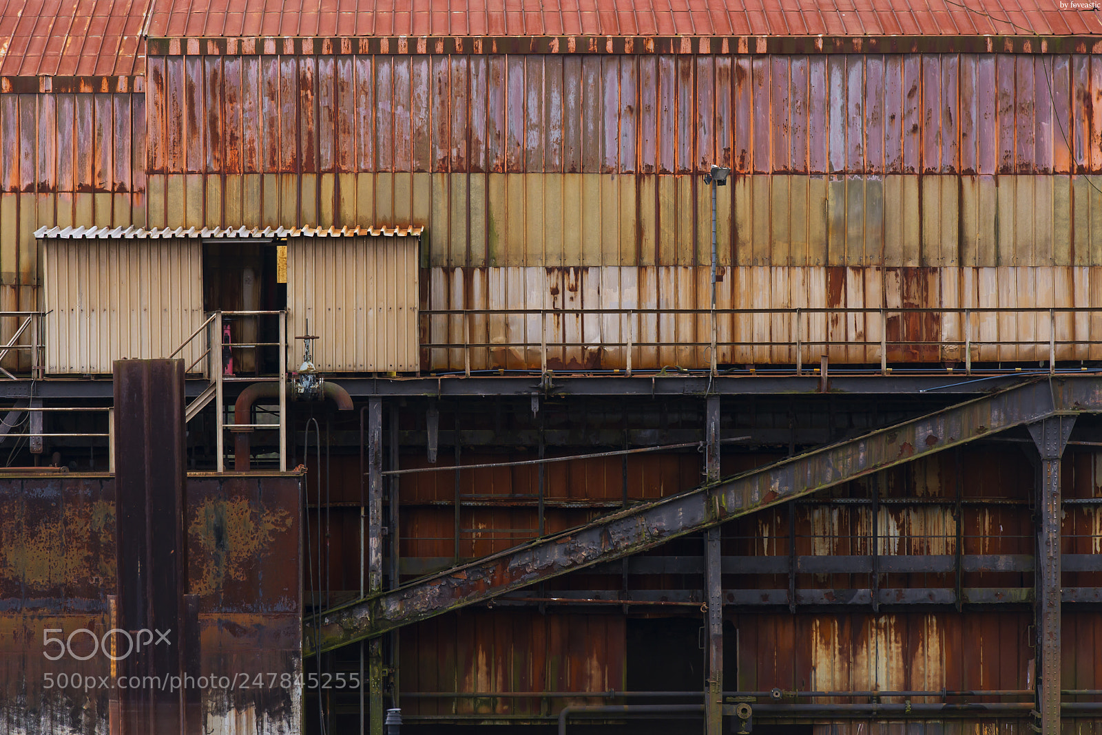 Nikon D610 sample photo. Rust symphony photography