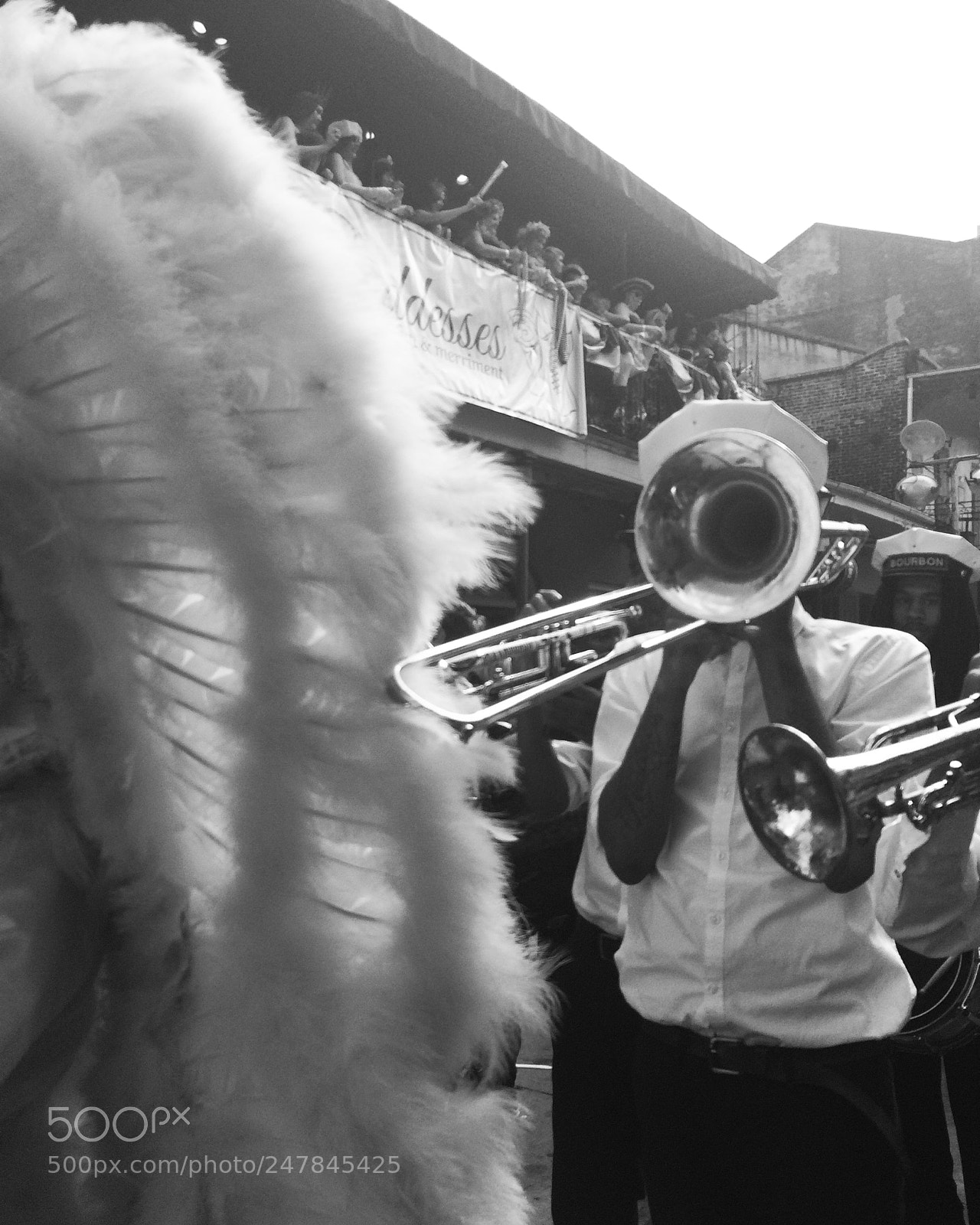 Apple iPhone 5s sample photo. Nola from a local photography