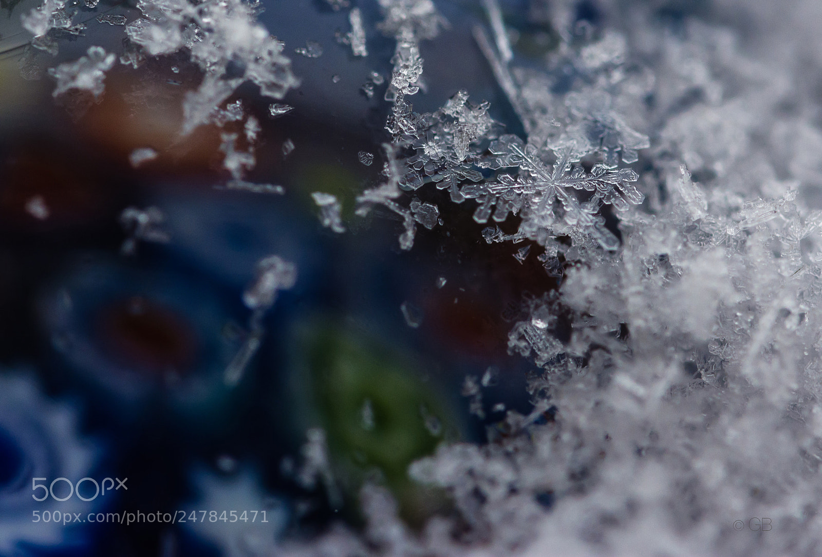 Nikon D7100 sample photo. Cold photography