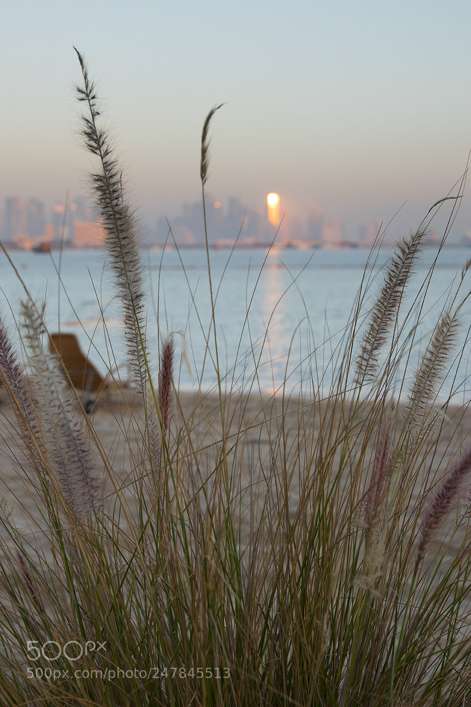 Canon EOS M6 sample photo. Sitting in the morning photography
