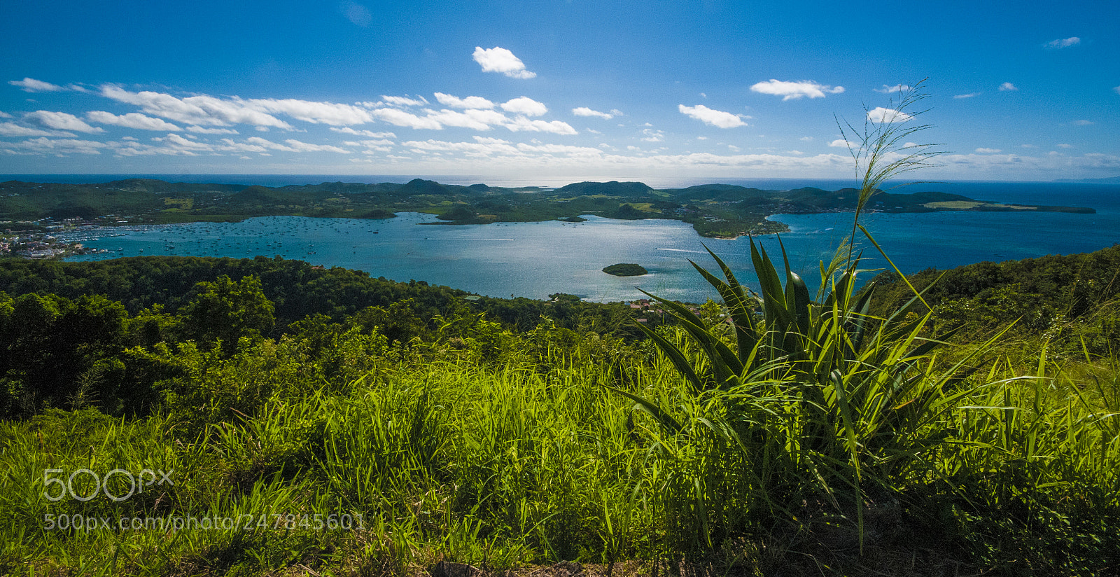 Nikon D300 sample photo. Caribbean coast photography