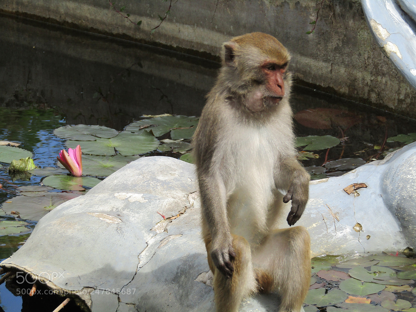 Canon PowerShot SX410 IS sample photo. Untitled photography