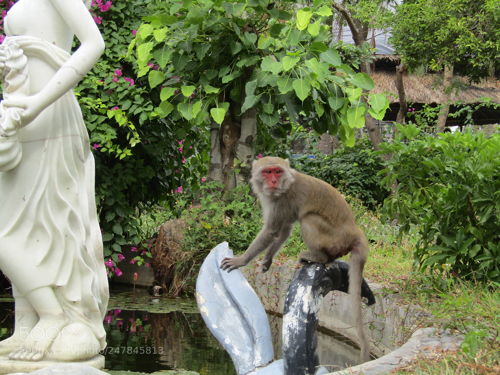 Canon PowerShot SX410 IS sample photo. Untitled photography