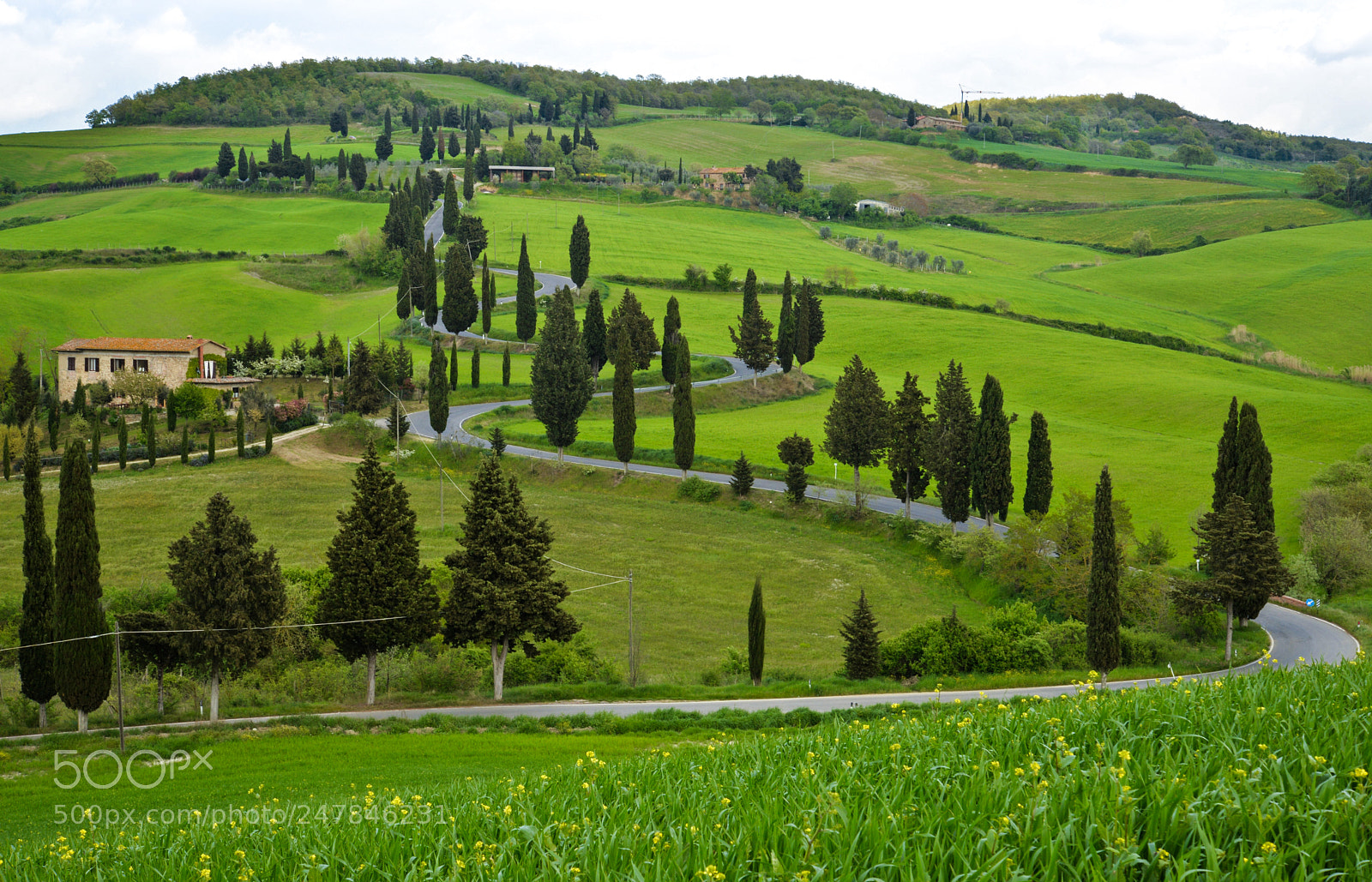 Nikon D610 sample photo. Country road photography