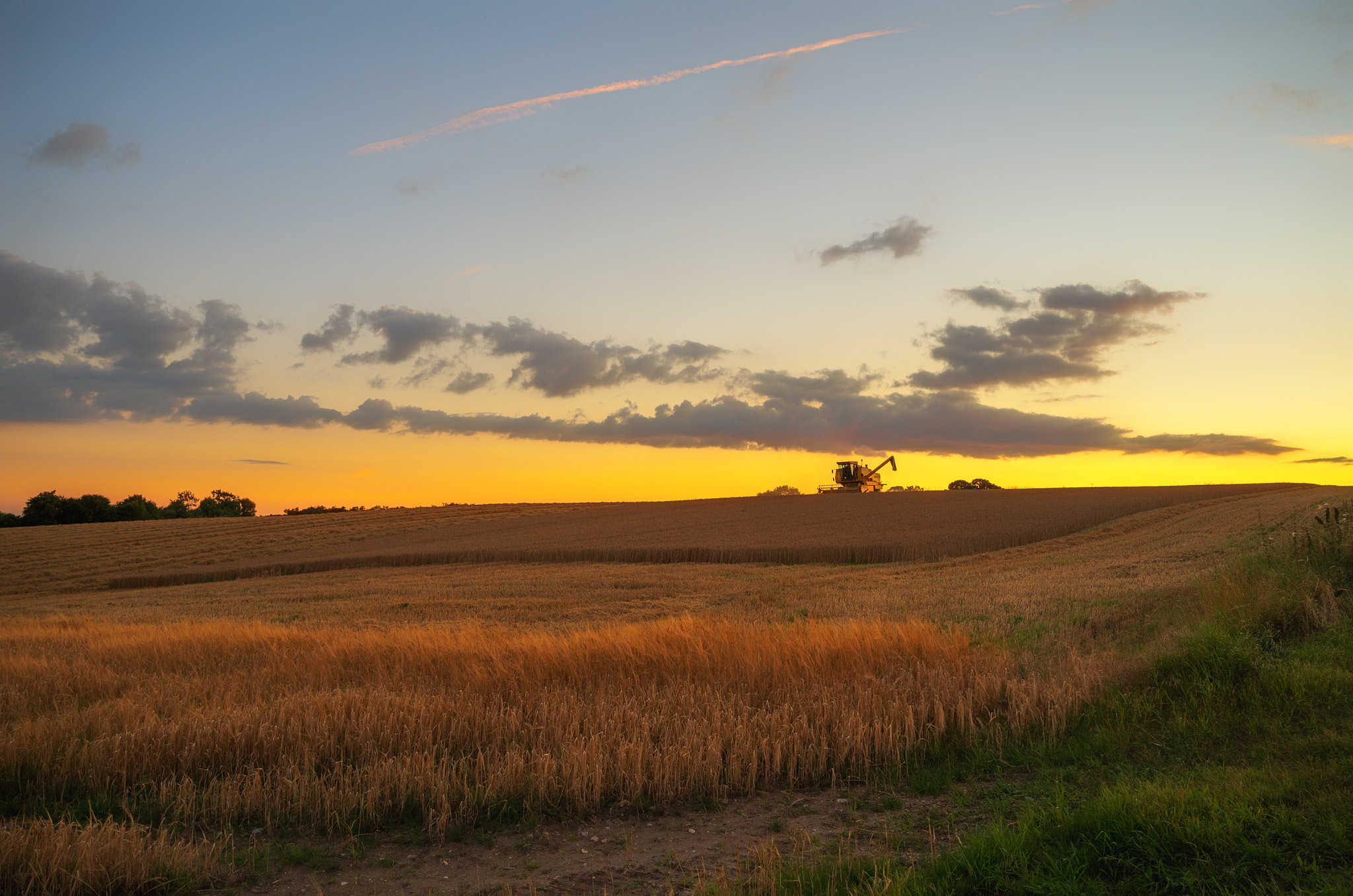 Leica X Vario sample photo. Fields in golden light of a summer evening photography