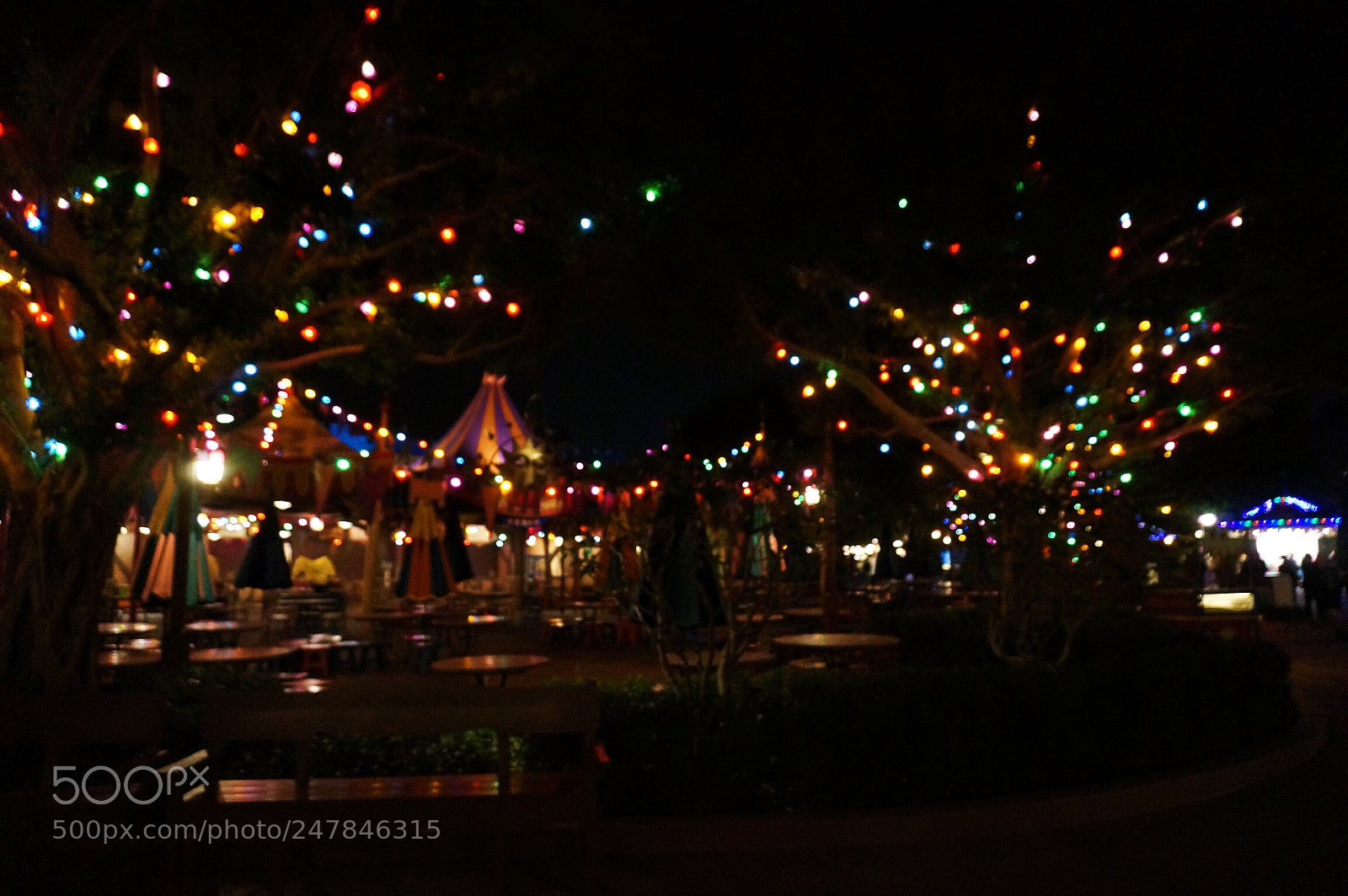 Sony Alpha NEX-5T sample photo. Disneyland 3 photography