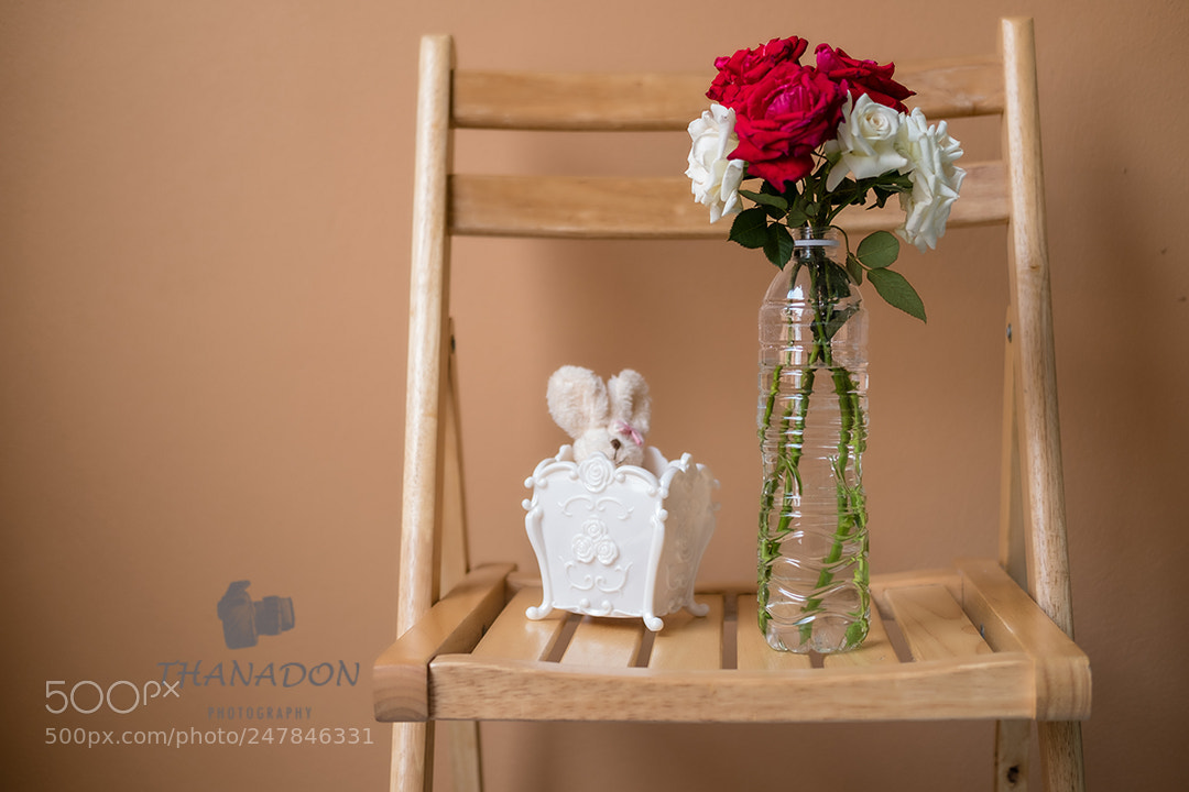 Fujifilm X-T20 sample photo. Red and white rose. photography