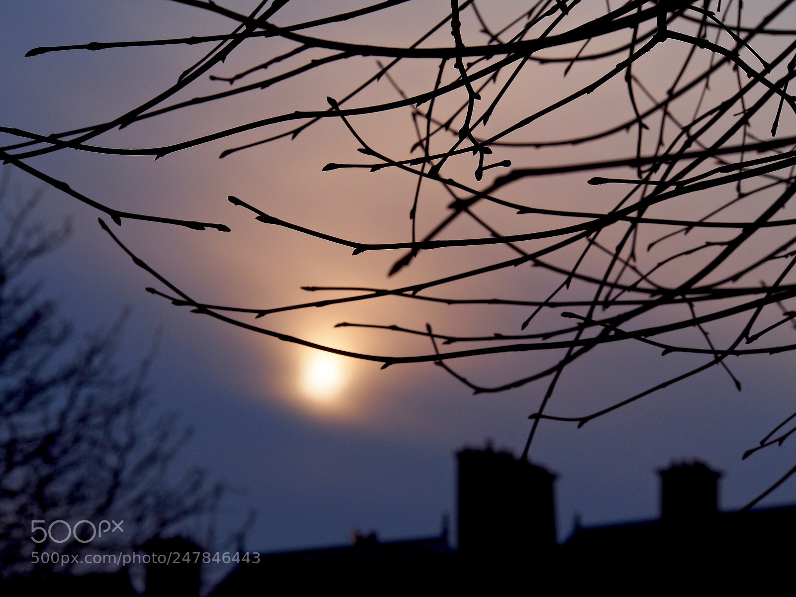 Olympus PEN E-PL6 sample photo. Late winter photography