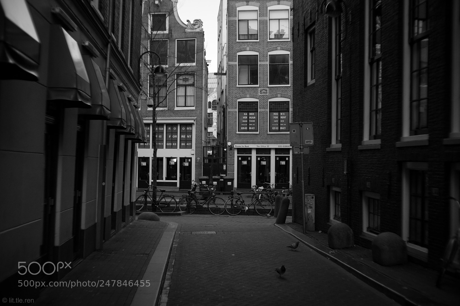 Fujifilm X-Pro2 sample photo. Red lights for rent photography