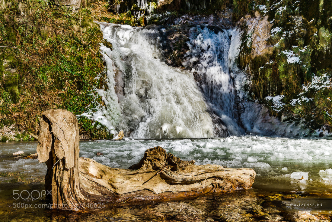 Sony a99 II sample photo. Old wooden timber in photography