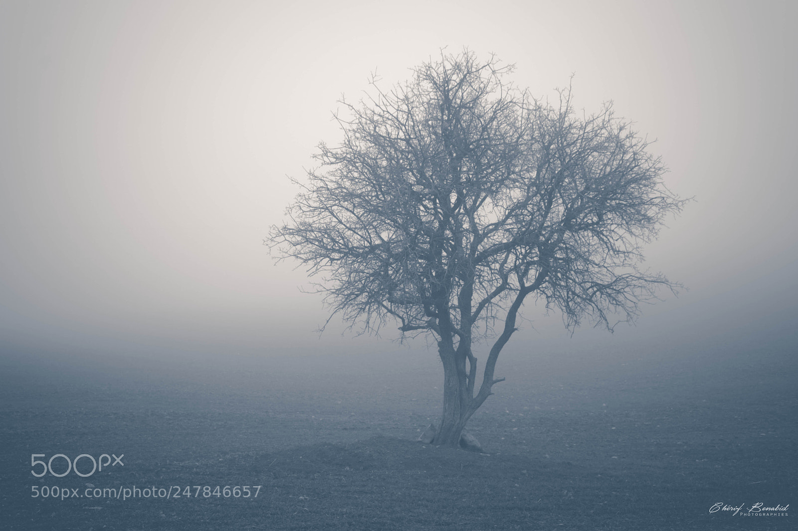 Nikon D7100 sample photo. Winter time photography