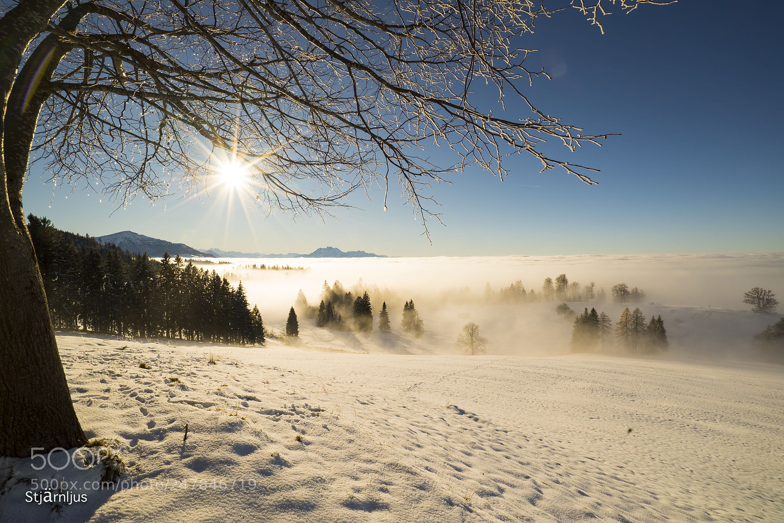 Sony a7S sample photo. Nice place near zug photography