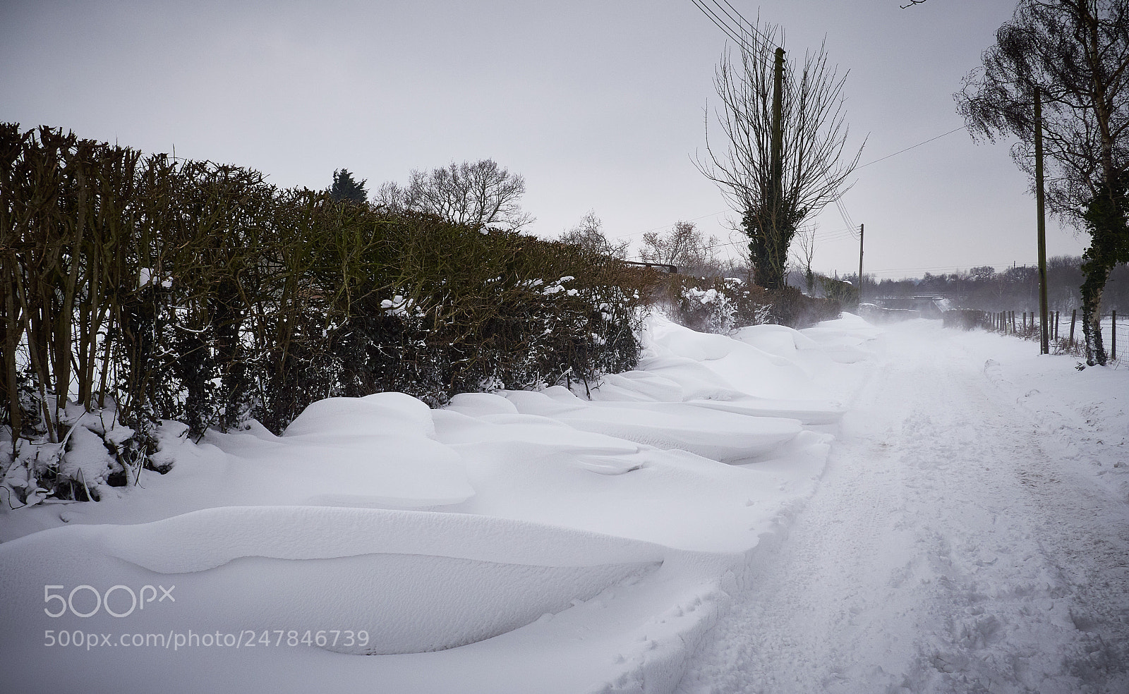 Panasonic Lumix DMC-GX8 sample photo. February snow photography