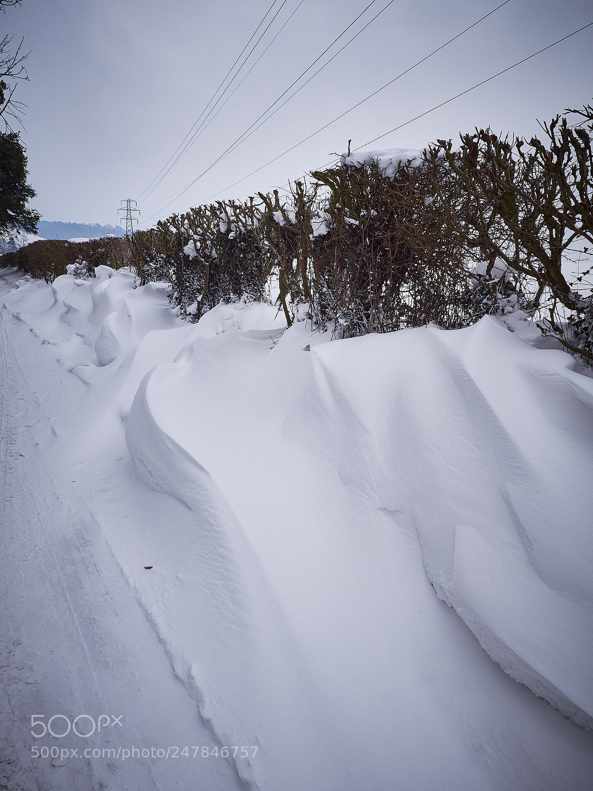 Panasonic Lumix DMC-GX8 sample photo. February snow photography