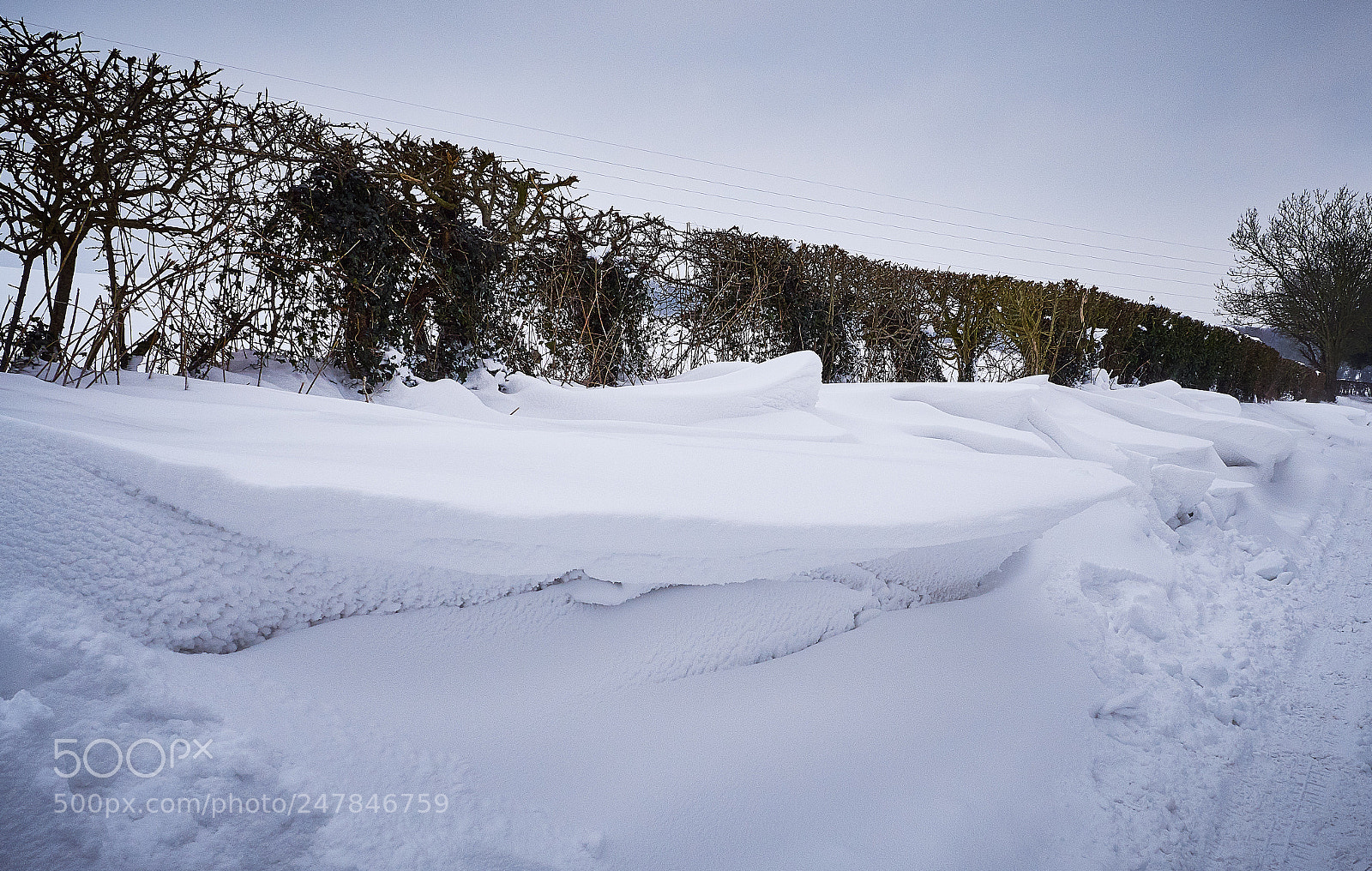 Panasonic Lumix DMC-GX8 sample photo. February snow photography