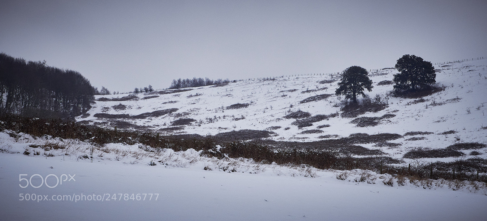 Panasonic Lumix DMC-GX8 sample photo. February snow photography